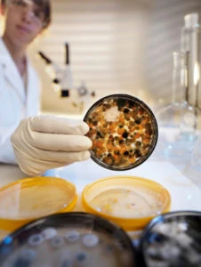 Does Your House Have Mold? What Types of Mold Are Dangerous?